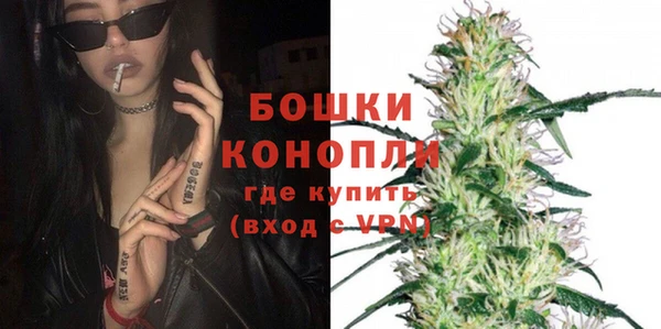 apvp Бородино