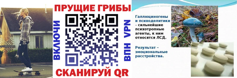 Псилоцибиновые грибы Magic Shrooms  Туран 